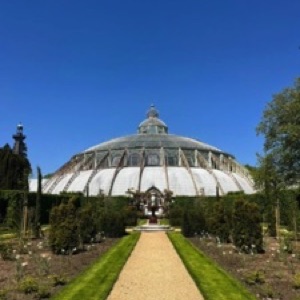 On aime toujours autant Bruxelles 🤩.#brussels #belgium #garden